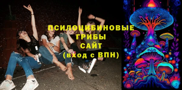 твердый Володарск