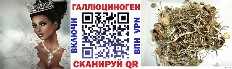 Купить  Оханск  Галлюциногенные грибы мицелий 